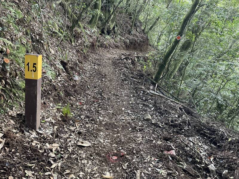 今年7月凱米颱風導致熱門登山路線能高越嶺國家步道西段多處崩塌，林業署南投分署說預估明年1月才能完成整修重新開放。   圖：林業署南投分署／提供