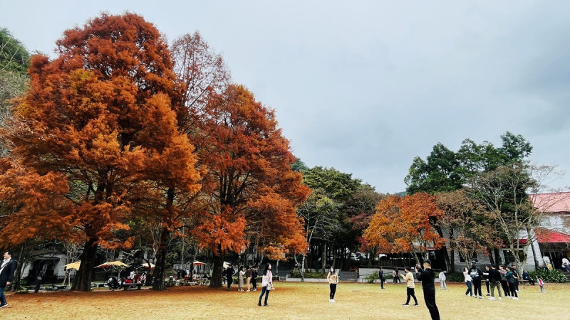 今年是奧萬大開園30週年，奧萬大將舉辦30週年慶系列活動，於11月2日至12月1日陸續展開，活動包括音樂、文化、藝術與遊程串聯。   圖：翻攝自奧萬大情報站臉書