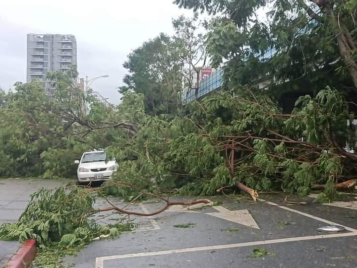  康芮颱風侵襲後的台北市早上道路，宛如一場超級障礙賽。 圖:翻攝自臉書 