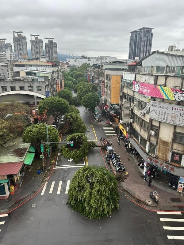  康芮颱風侵襲後的台北市早上道路，宛如一場超級障礙賽。 圖:翻攝自臉書 