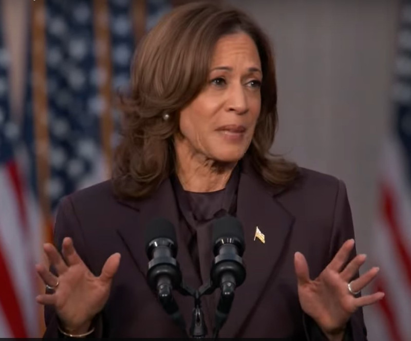 美國副總統賀錦麗（Kamala Harris）6日在母校霍華德大學發表敗選演說。   圖：翻攝賀錦麗YouTube影片