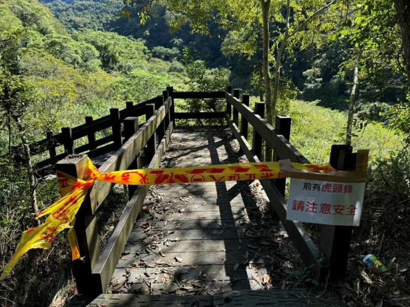 苗栗縣消防局已封鎖虎頭蜂活動區域，避免民眾遭到蜂群攻擊。   圖：苗栗縣消防局／提供