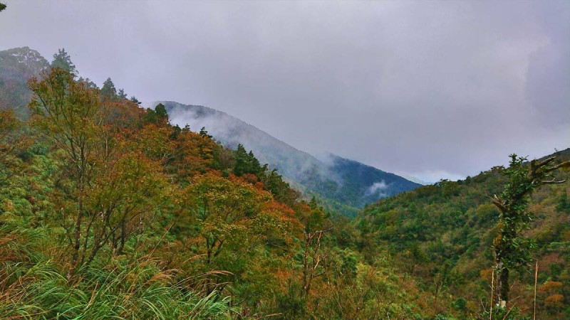 林業保育署宜蘭分署為維護民眾安全，宣布太平山國家森林遊樂園區今(15)日起預警性休園。   圖：太平山國家森林遊樂區／提供