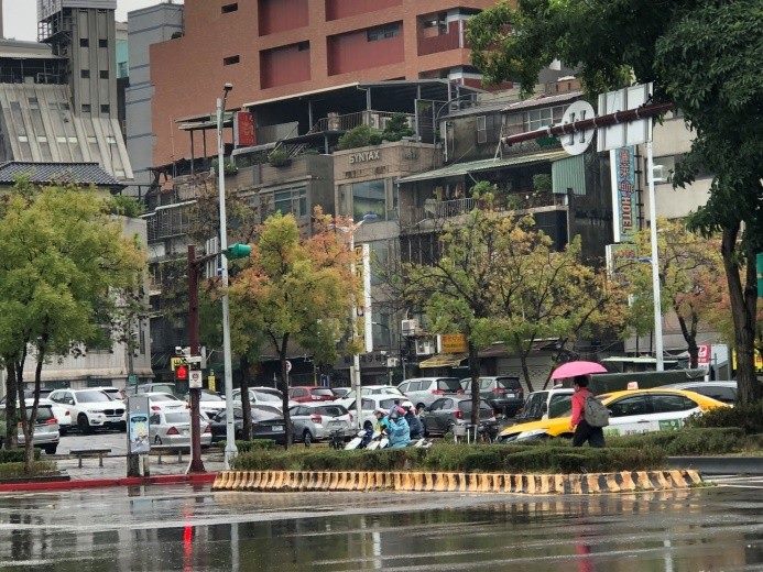 中華路的黃連木葉片開始轉黃橘紅，增添街道浪漫氣息。   圖：翻攝自台北市立公園處官網