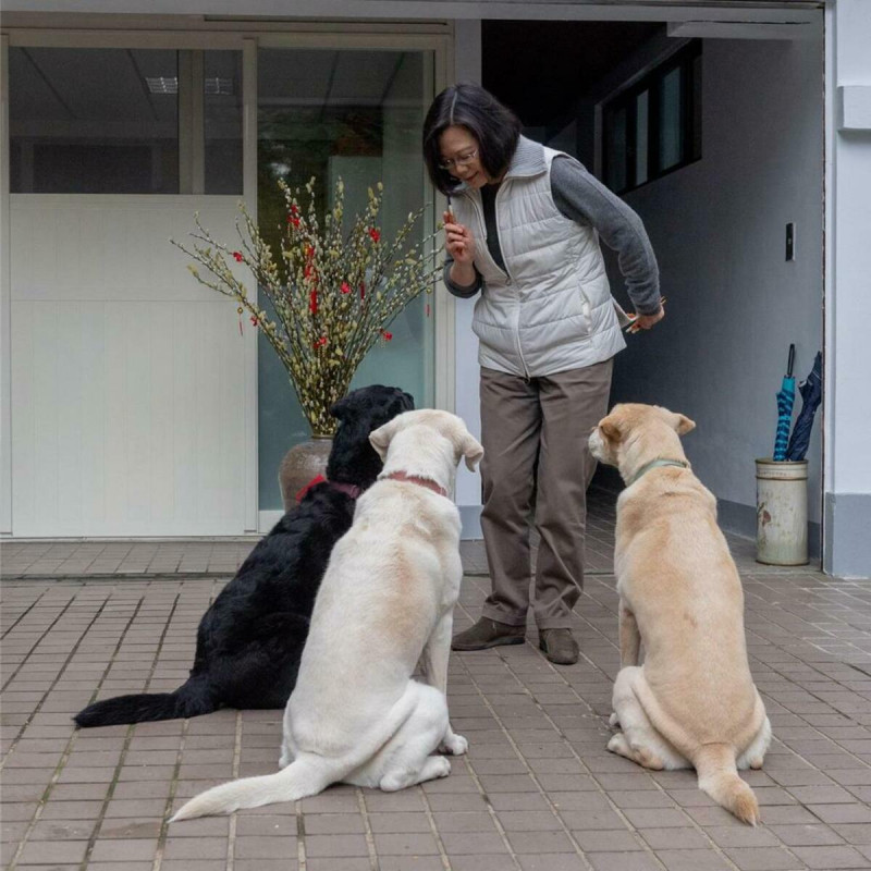 蔡英文在臉書貼出與3隻領養的退役導盲犬的合照，懷念相繼離世的3隻毛小孩。   圖：翻攝蔡英文臉書