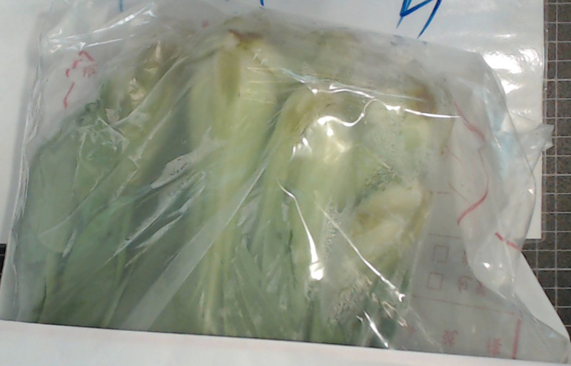 雲林縣荷包嶼合作農場的青江菜檢出殺蟲劑芬普尼超標   圖：台北市衛生局提供