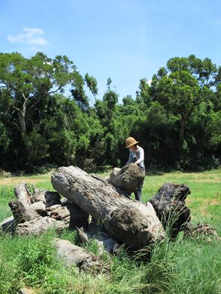 「2017桃園地景藝術節」駐地創作藝術家蕭凱文與12大根即將進行創作的漂流木。   圖：桃園市文化局提供
