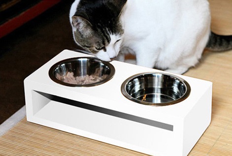 可挑選較淺的碗，並使用可架高的碗架，讓貓主子的身體不必伏得太低。   圖：寵毛網petsmao資訊平台提供