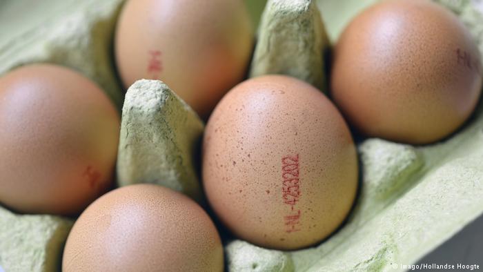 食品主管機關警告消費者，遠離來自荷蘭可能受到污染的雞蛋。   圖：翻攝自德國之聲（DW）網頁