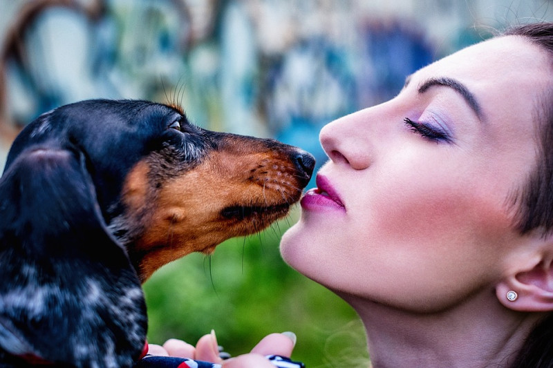 狗狗的嗅覺非常靈敏，可以靠味道去判別人的身份，而狗狗聞你的味道其實就是在和你打招呼的意思哦！   圖：寵毛網petsmao資訊平台提供