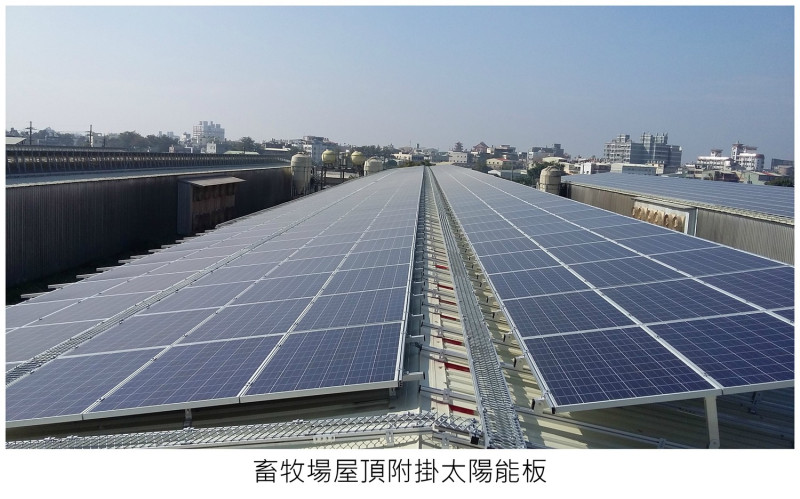 養殖場上架設太陽能電板，不僅可隔熱降溫，還能種電。   圖 : 高雄市農業局/提供