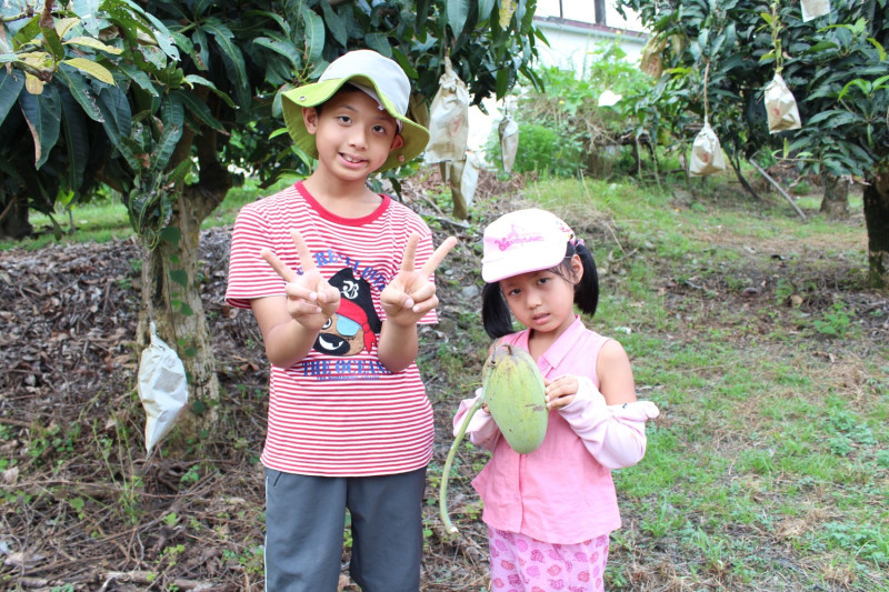 高雄農業局以農村為主題，針對新加坡遊客對自由行的需求，設計專屬的客製化深度體驗遊程。新加坡遊客玩得相當開心。   圖：高雄市農業局/提供