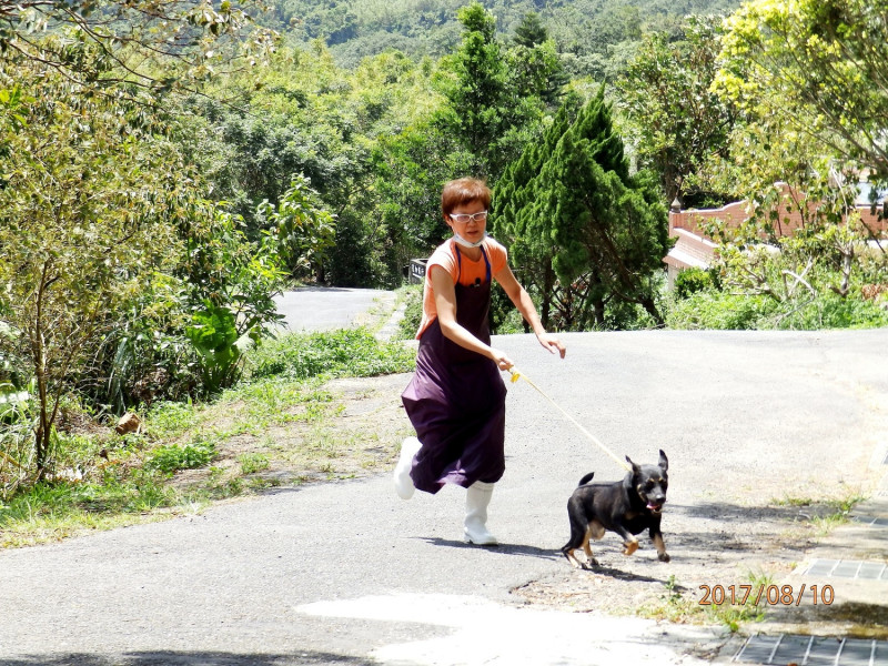 動保處人員陪同被棄養的小狗散步。   圖 : 基隆市動保處/提供