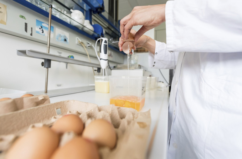 歐洲近期發生雞蛋遭殺蟲劑污染風波，數百萬至上千萬顆雞蛋被下架銷毀，問題還延燒出荷蘭及比利時可能知情不報的嚴重問題。   圖 : 達志影像/美聯社