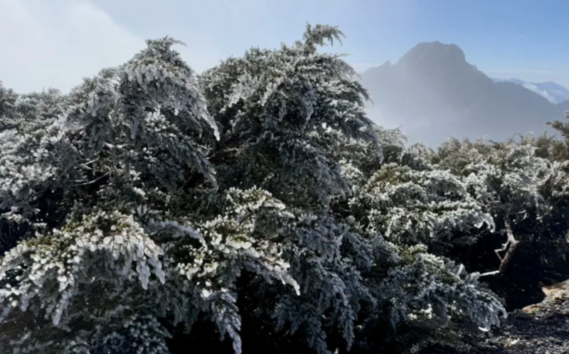 玉山清晨低溫零下-1.6度！氣象站超美雪白世界曝