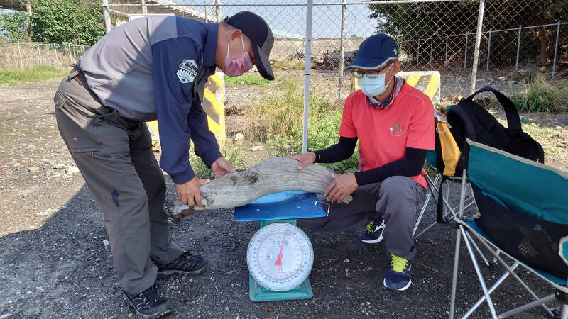 若撿拾之漂流木可能再行轉賣或出售，或因撿拾量龐大而須使用車輛載運，則需登記。   圖：農業部林業及自然保育署南投分署／提供