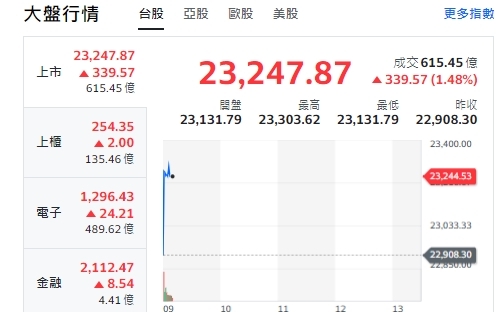 台股開紅》美股強彈帶動大盤漲352點 台積挑戰歷史新高 