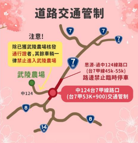 武陵櫻花季道路交通管制。   圖：交通部公路局／提供