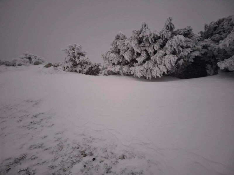 玉山觀測站於10日晚間11時35分開始降雪，直至11時50分後才停止，降雪時常將近30分鐘，讓地面、觀測儀器和周圍植物表面皆累積厚厚一層積雪。   圖：翻攝自中央氣象署臉書