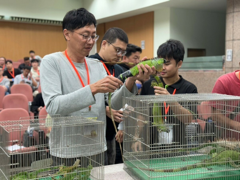 訓練班講授捕捉綠鬣蜥的裝備及技巧。   圖：高雄市農業局提供（資料照）