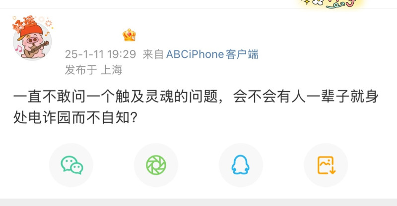 有網友在微博發文諷刺說，會不會有人一輩子身處電詐園而不自知？   圖：翻攝自微博 X 帳號