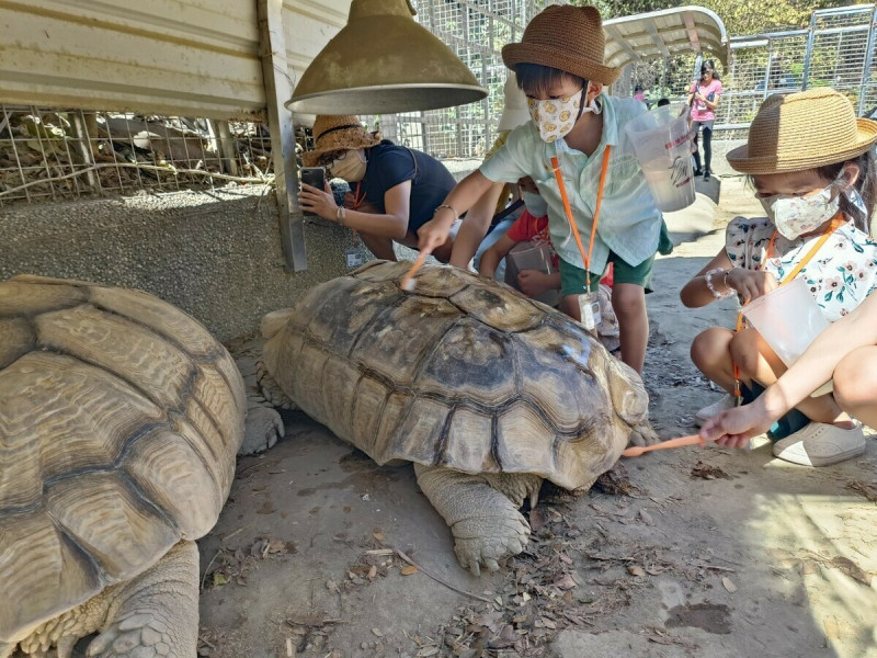 全國獨創的「夜宿壽山動物園」生態營隊，將深入象龜展場與動物親密接觸。   圖：高雄市觀光局／提供