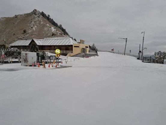 水氣加上昨天入夜天氣寒冷，合歡山降雪一夜，今早合歡山成雪白世界，不僅道路、樹枝全都染上了白色雪霜，地面積雪更厚達3公分，可說是入冬以來的最美雪景。   圖：林業署南投分署／提供