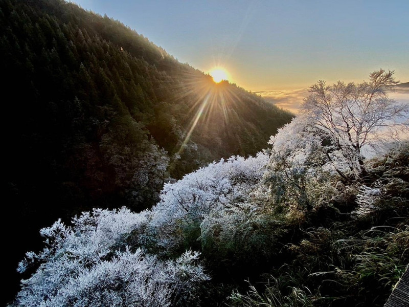 春節假期，北部的拉拉山和太平山也有機會降雪。(資料照，圖為太平山霧淞)   圖：翻攝自太平山國家森林遊樂園區臉書