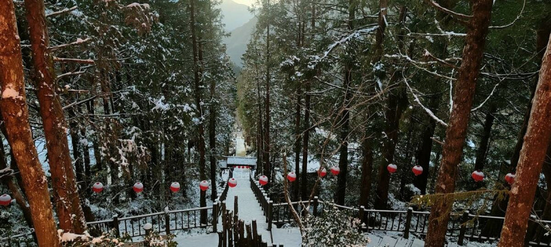 太平山古道也蓋上白雪。   圖：翻攝自太平山國家森林遊樂區臉書