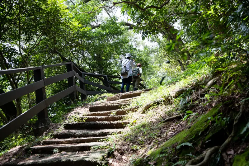 ▲江怡臻說，土樹三鶯地區便有多條路線，適合全家一同走春。（圖／江怡臻提供）   