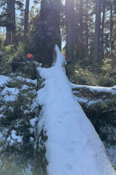 新竹尖石鄉5人登山隊一名女山友已失聯3日，搜救隊尋獲背包及帳篷，失蹤者仍未現蹤，山區低溫降雪增添搜救難度。   圖：新竹縣消防局／提供