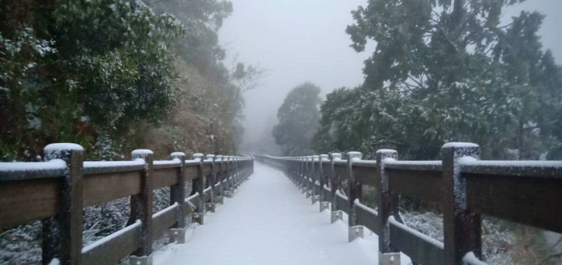 清晨3到7時，太平山莊至翠峰湖間陸續降下冰霰，預估積雪達2公分厚。   圖：翻攝自太平山國家森林遊樂園區臉書