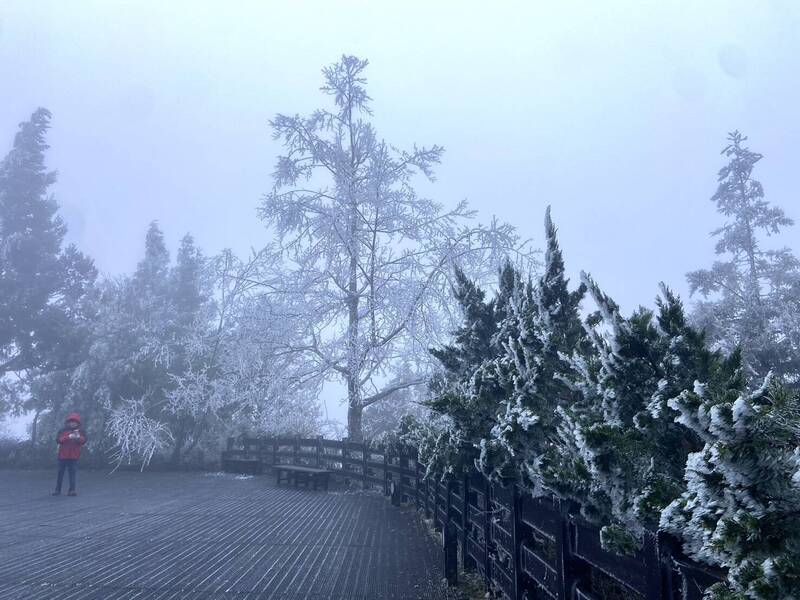 寒流來襲，太平山今晨低溫零下2度，8點半後降冰霰，山林霧淞如銀白世界。補班日仍吸引逾2,000人入園，超越假日人數。   圖：太平山國家森林遊樂區 ／ 提供