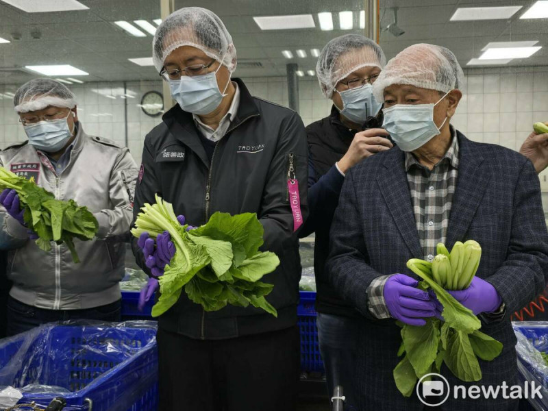 張善政視察市農會有機蔬菜截切場作業流程，還親自挑菜包裝。   