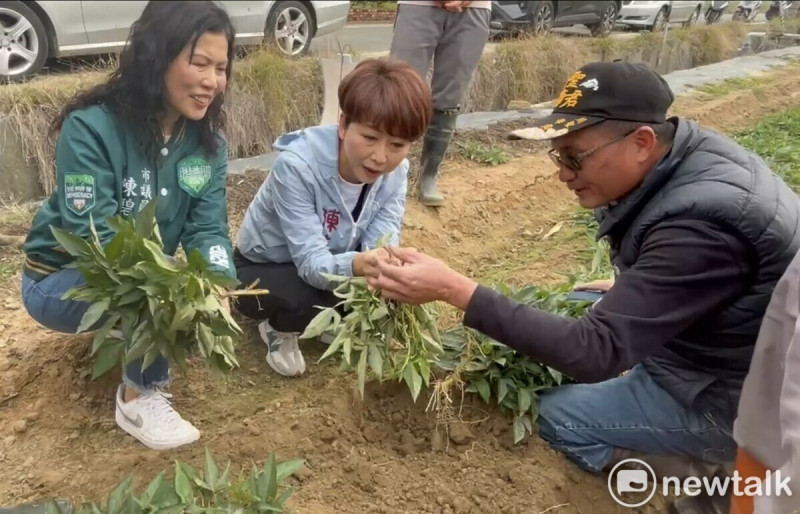 陳亭妃得知地瓜寒害災情後，第一時間向農業部農糧署通報，並強調政府應儘速啟動救助機制，以減輕農民損失。   圖：黃博郎／攝