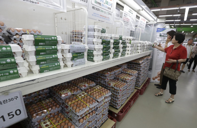 根據韓聯社報導，南韓政府今早公佈其自週二以來檢驗國產雞蛋的結果，有超過23個農場的雞蛋被檢出有劇毒農藥殘留，此一結果也引發南韓國內全國對於食安的疑慮。   圖：達志影像/美聯社