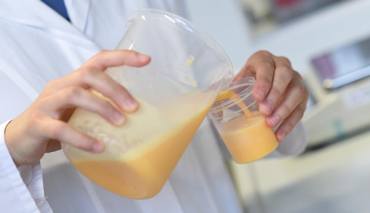 德國官方實驗室正在化驗雞蛋有無遭到芬普尼毒素感染   圖：達志影像／路透社