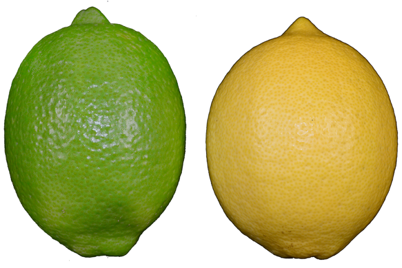 檸檬有綠皮及黃皮，哪種是檸檬哪種是萊姆，民眾常常搞錯。   圖：高雄農業改良場提供