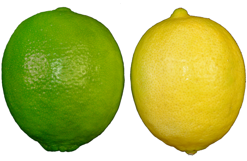 萊姆(無子檸檬)有綠皮及黃皮，分辨最簡單的方法就是切開來看，果皮厚而且有子的就是檸檬，皮薄無子的即為萊姆。   圖：高雄農業改良場提供