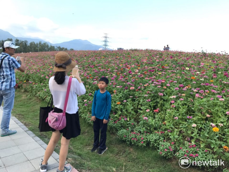 民眾與花海合影。   圖 : 周煊惠／攝