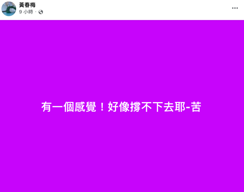 今(10)日凌晨「S媽」黃春梅突表示「好像撐不下去」，似乎仍未走出喪女之痛。   圖：翻攝自黃春梅FB