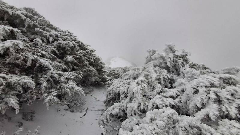 中央氣象署玉山觀測站今日清晨降下罕見的三月雪。   圖：翻攝自中央氣象署臉書