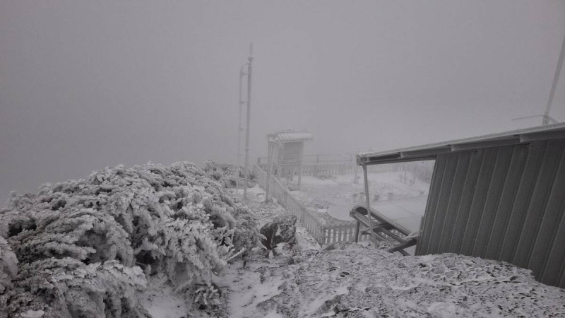 截至上午7時為止，玉山測站積雪已逾1公分，且降雪還在持續中。   圖：翻攝自中央氣象署臉書