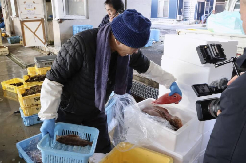 日本石川縣魚販在整理漁獲。（共同社）   圖：中央社提供