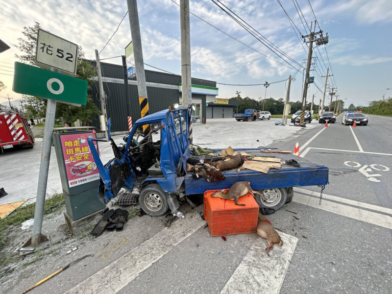 台9線光復段1日清晨4時許發生嚴重車禍，一輛北上自用小貨車不明原因自撞電桿，造成後車斗2人傷重不治、車內2人受傷送醫，車內發現3把自製獵槍及多隻死亡山羌及飛鼠等野生動物，事故原因仍待警方釐清。（民眾提供）中央社記者張祈傳真 114年5月1日   