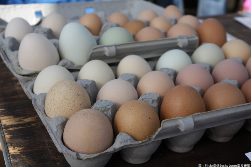 衛福部考量禽類飼料可能殘留芬普尼，有共識訂定禽蛋中芬普尼殘留容許量為10ppb。   圖：Flickr提供Becky Jones開放權限