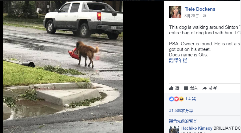美國德州遭受哈維颶風侵襲，網友Tiele Dockens發現1隻狗咬着1袋乾狗糧，上傳臉書後，已經被分享3萬多次。   圖：翻攝Tiele Dockens臉書
