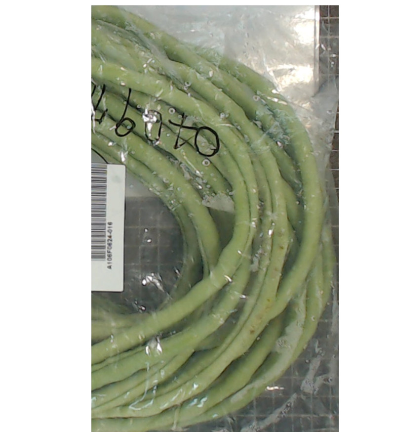 此次北市衛生局抽查農藥殘留不合格之菜豆。   圖：台北市衛生局提供