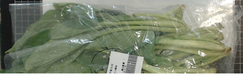 此次北市衛生局抽查農藥殘留不合格之油菜。   圖：台北市衛生局提供