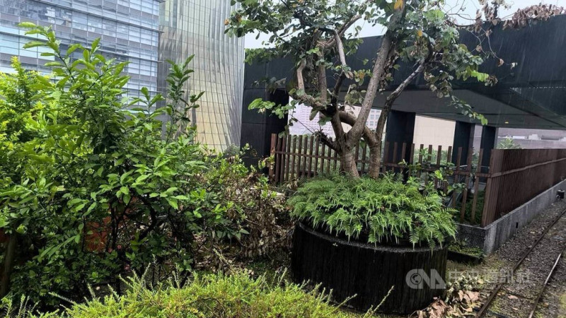 台北市警消18日獲報，指信義區新光三越A8館4樓戶外區有男子陳屍，經查死者為園藝承包商徐姓工人，疑因17日工作時病發猝死。（翻攝照片）中央社記者黃麗芸傳真  114年5月18日   